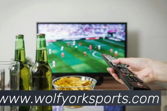 体育下注品牌故事