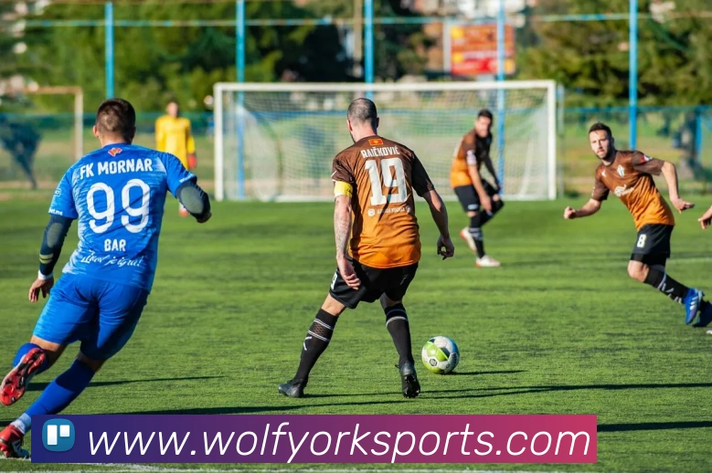 体育下注服务体系